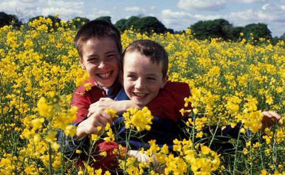 Un film plein de tendresse et d'humanité avec une note d'humour déguisé en euro. Après Trainspotting c'est le choc thermique.