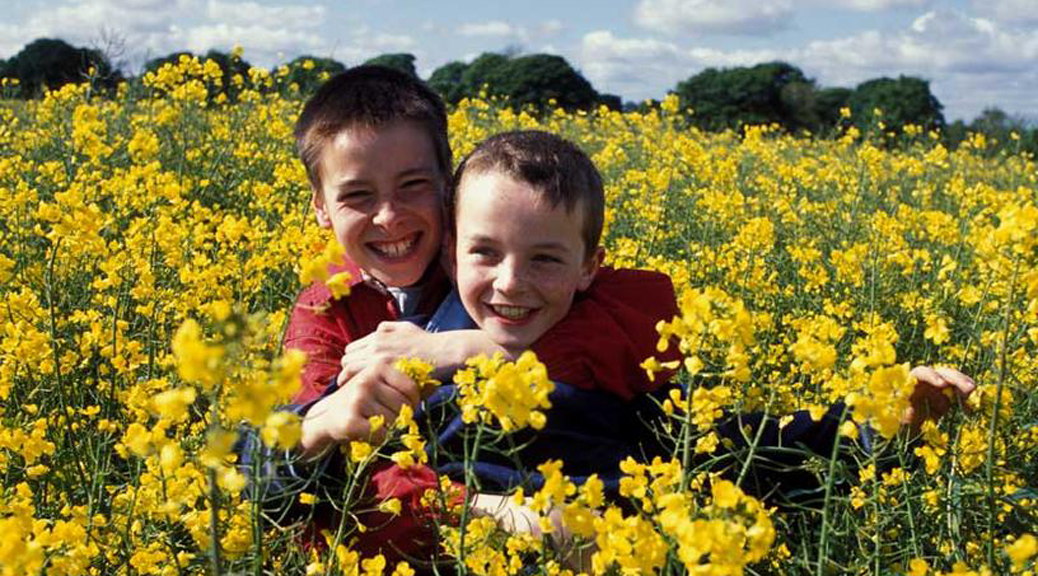 Un film plein de tendresse et d'humanité avec une note d'humour déguisé en euro. Après Trainspotting c'est le choc thermique.
