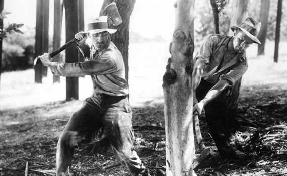 Notre pain quotidien