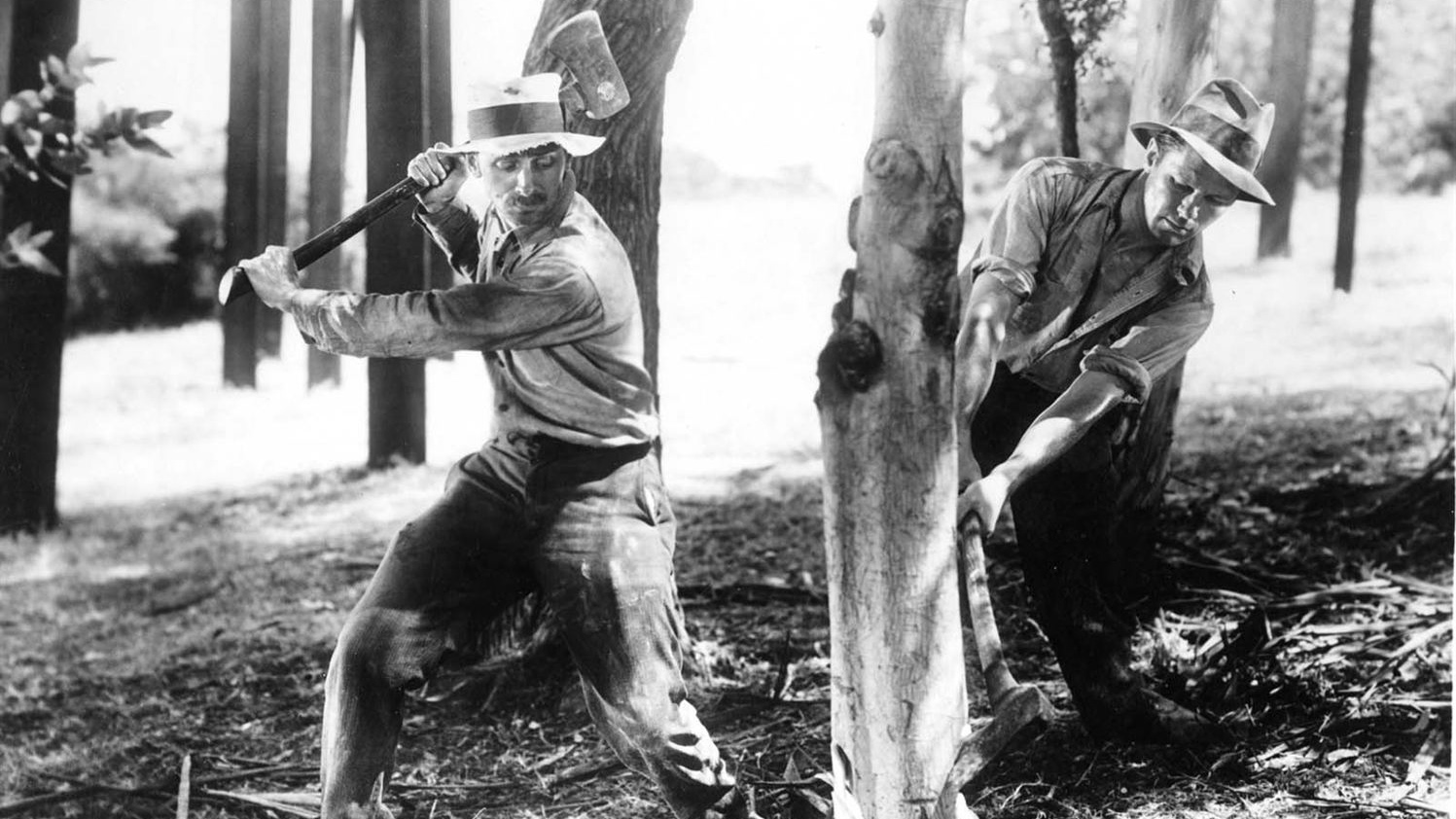 Notre pain quotidien