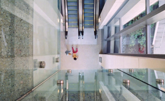 affiche du film Mise à Mort du Cerf Sacré