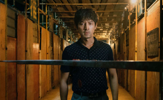 film Le lac aux oies sauvages